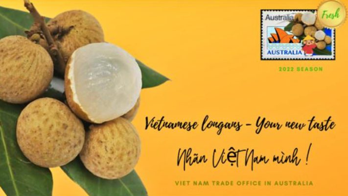 Gần 10 tấn nhãn Việt đổ bộ thị trường Úc